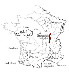 Burgund - Rotwein